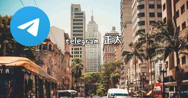 telegram 正太