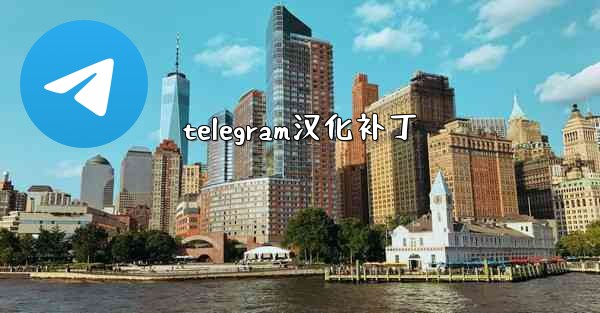 telegram汉化补丁