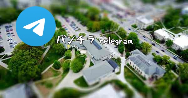 パンチラ telegram