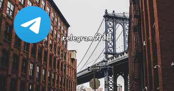 telegram分組