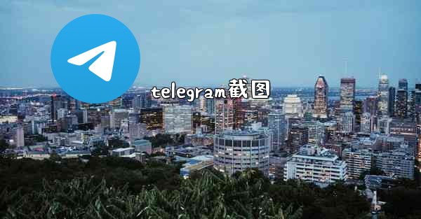 telegram截图