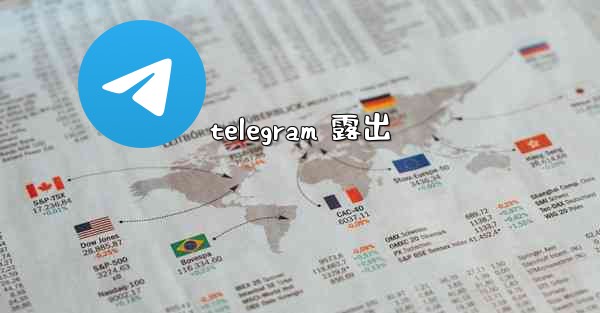 telegram 露出