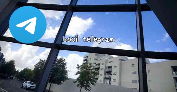 bocil telegram