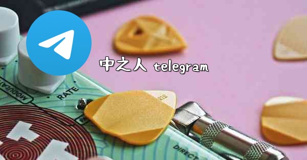 中之人 telegram