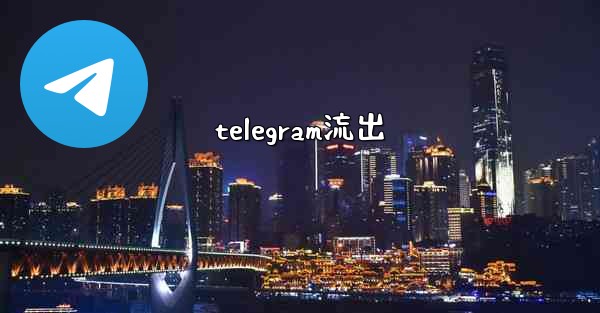 telegram流出