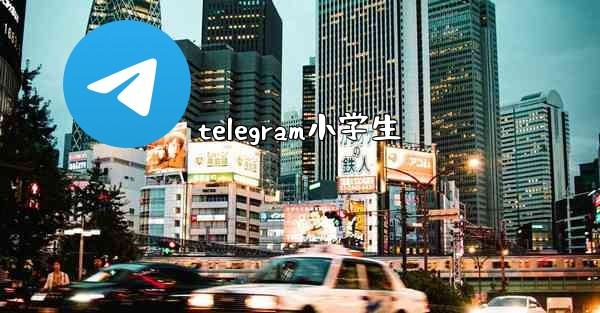 telegram小学生