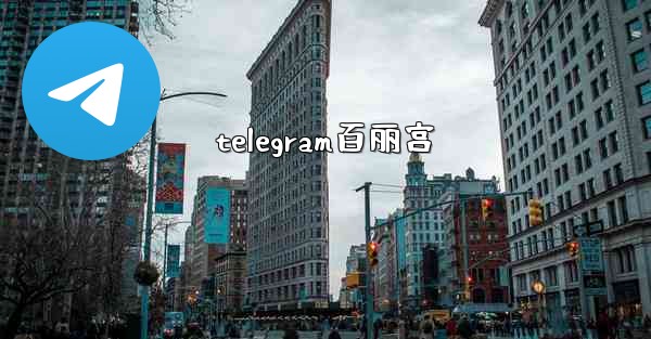 telegram百丽宫