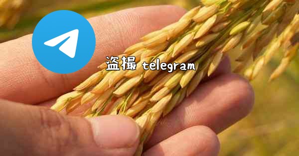 盗撮 telegram