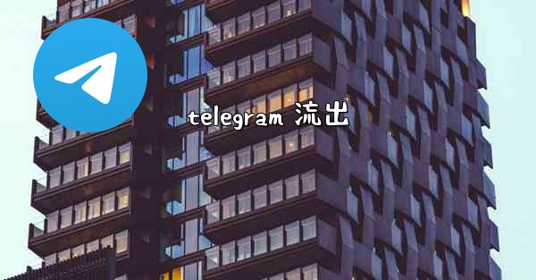 telegram 流出