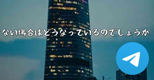 Paper Plane が SMS 認証コードを受信できない場合はどうなっているのでしょうか