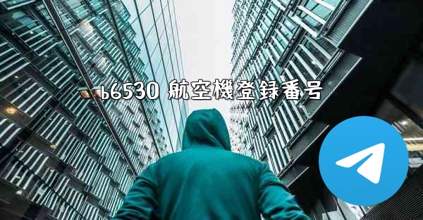 b6530 航空機登録番号