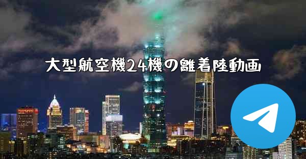 大型航空機24機の離着陸動画