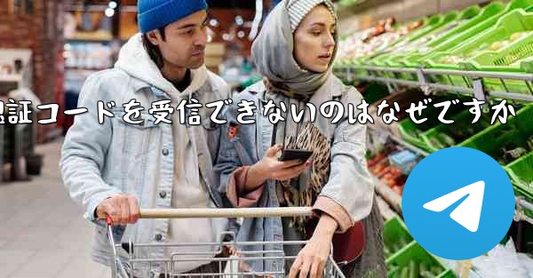 Paper Plane が認証コードを受信できないのはなぜですか