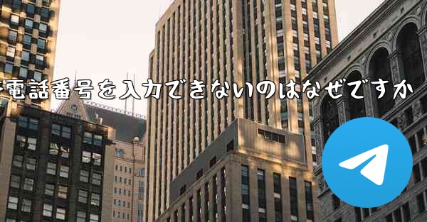 Paper Plane の携帯電話番号を入力できないのはなぜですか