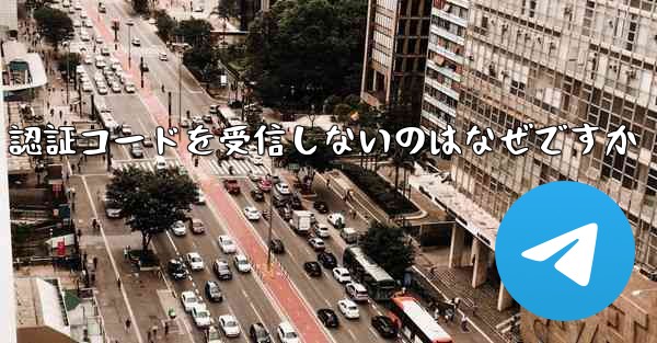 紙飛行機が SMS 認証コードを受信しないのはなぜですか
