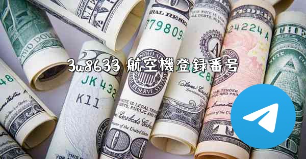 3u8633 航空機登録番号
