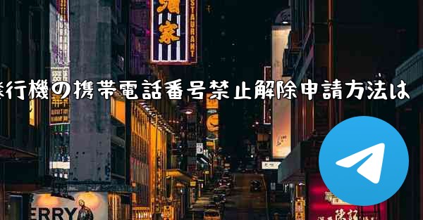 紙飛行機の携帯電話番号禁止解除申請方法は