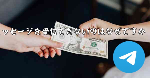 Paper Plane からテキスト メッセージを受信できないのはなぜですか