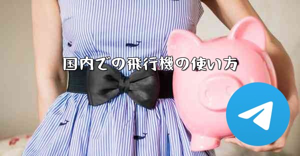 国内での飛行機の使い方
