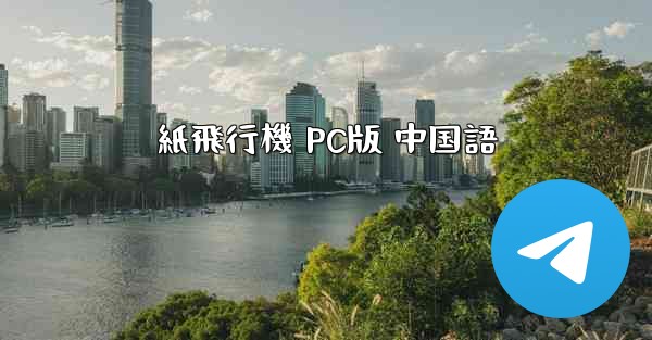 紙飛行機 PC版 中国語