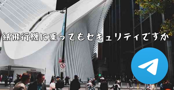 紙飛行機に乗ってもセキュリティですか