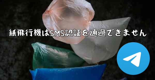 紙飛行機はSMS認証を通過できません