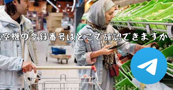 航空機の登録番号はどこで確認できますか