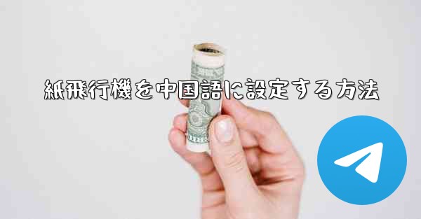 紙飛行機を中国語に設定する方法