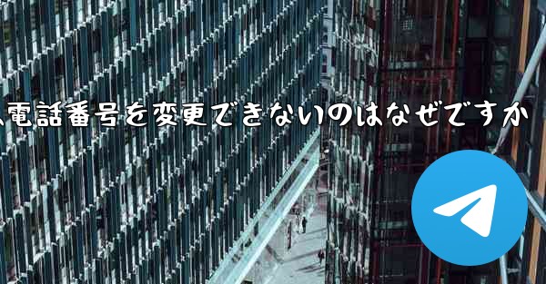Paper Plane では電話番号を変更できないのはなぜですか
