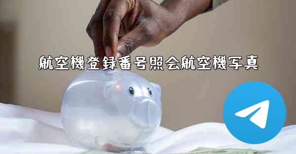 航空機登録番号照会航空機写真