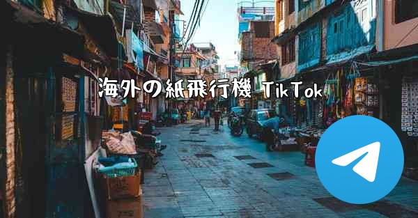 海外の紙飛行機 TikTok