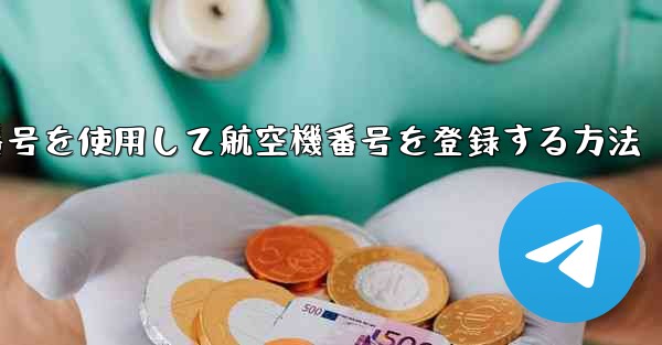 仮想番号を使用して航空機番号を登録する方法