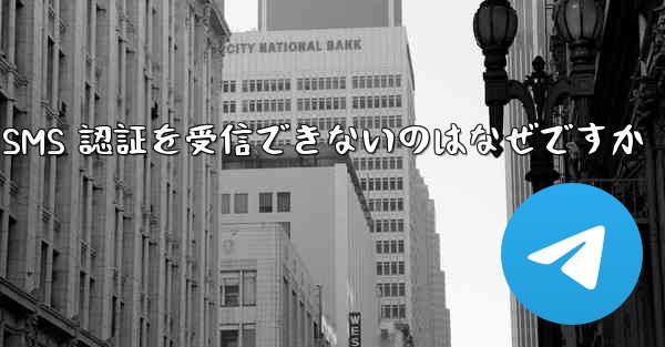 Paper Plane が SMS 認証を受信できないのはなぜですか