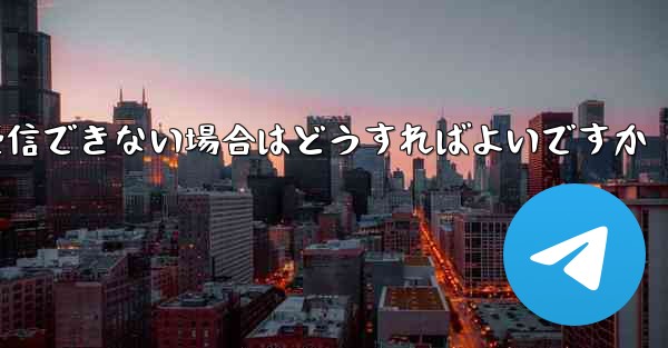 Paper Plane が国内で認証コードを受信できない場合はどうすればよいですか