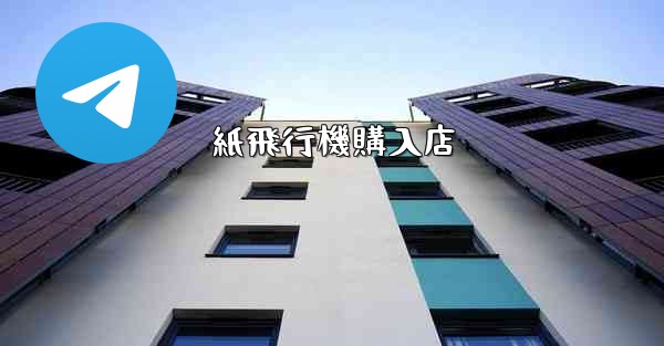 紙飛行機購入店