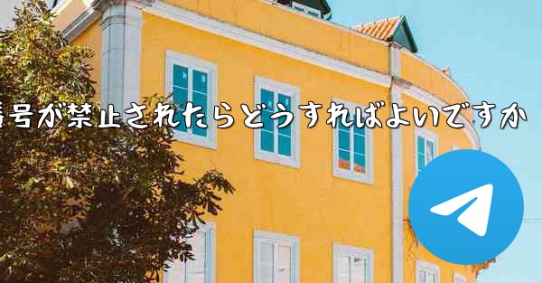 私の紙飛行機の携帯電話番号が禁止されたらどうすればよいですか