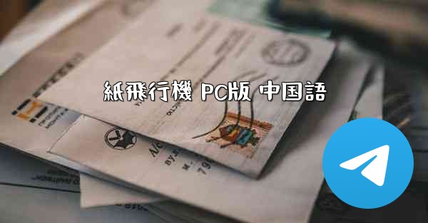 紙飛行機 PC版 中国語