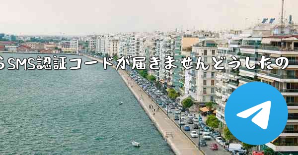 Paper PlaneからSMS認証コードが届きませんどうしたの