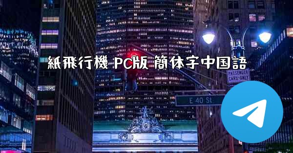 紙飛行機 PC版 簡体字中国語