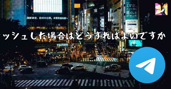 Paper Plane telegeram の登録がクラッシュした場合はどうすればよいですか