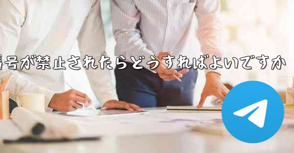 <b>私の紙飛行機の携帯電話番号が禁止されたらどうすればよいですか</b>