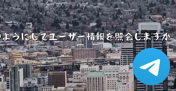 Paper Plane はどのようにしてユーザー情報を照会しますか