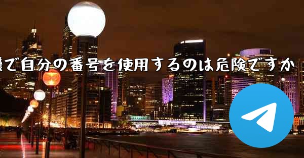 紙飛行機で自分の番号を使用するのは危険ですか