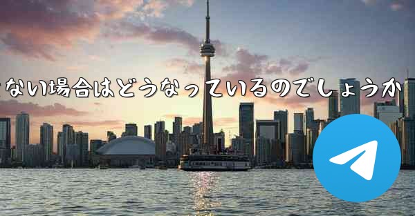 Paper Plane が SMS 認証コードを受信できない場合はどうなっているのでしょうか