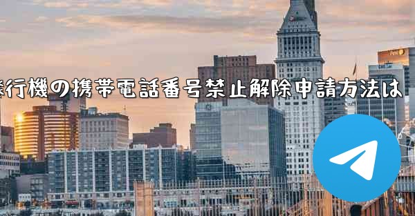 紙飛行機の携帯電話番号禁止解除申請方法は