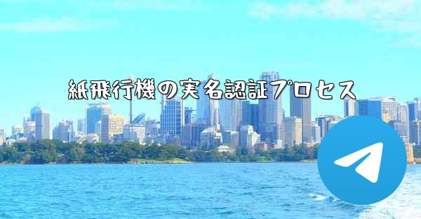 紙飛行機の実名認証プロセス