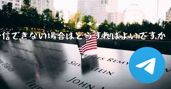 Paper Plane が国内で認証コードを受信できない場合はどうすればよいですか