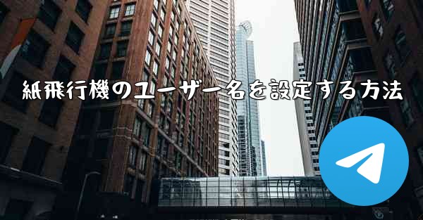紙飛行機のユーザー名を設定する方法