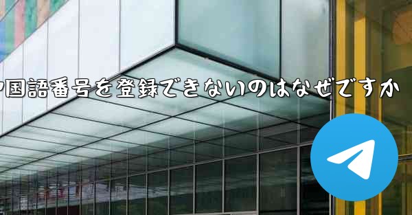 紙飛行機の中国語番号を登録できないのはなぜですか