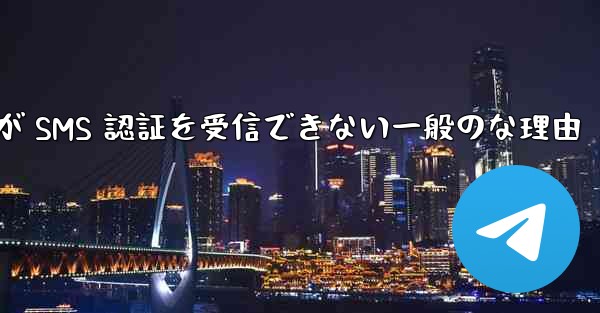 Paper Plane が SMS 認証を受信できない一般のな理由